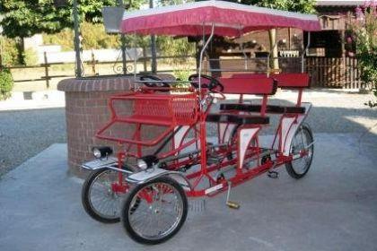Tour en Rickshaw